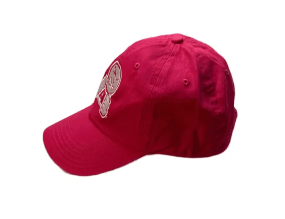 ANGER MANAGEMENT LifeStyle Iconic Cap | Big Face Logo | Essential Cap | Neon Pink | Unisex