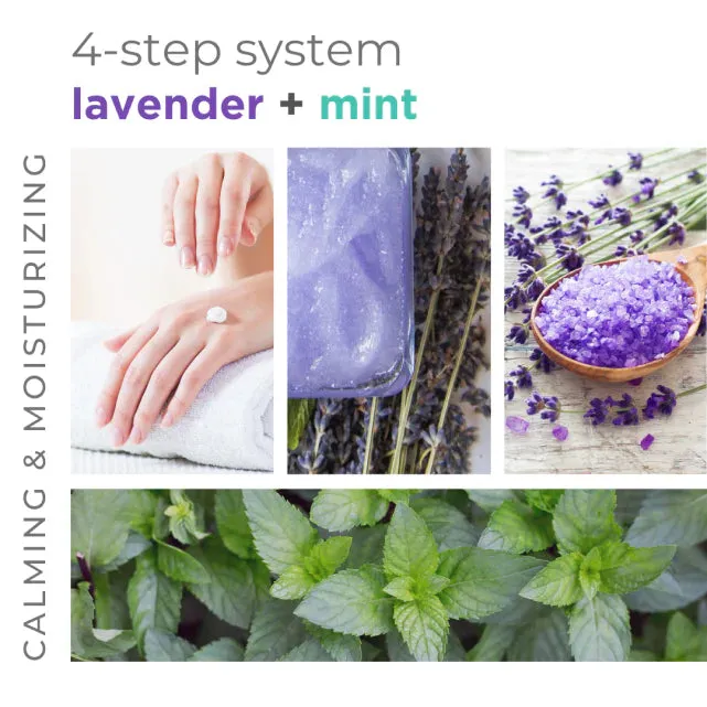 BCL Spa - Lavender   Mint - Massage Cream 16oz
