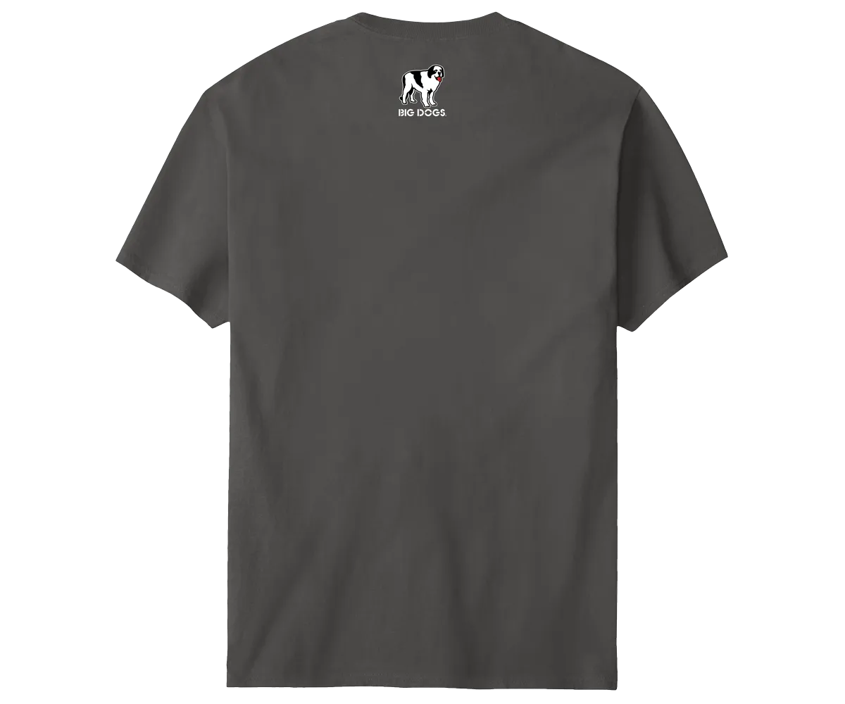Bd University Red Gray T-shirt
