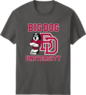 Bd University Red Gray T-shirt