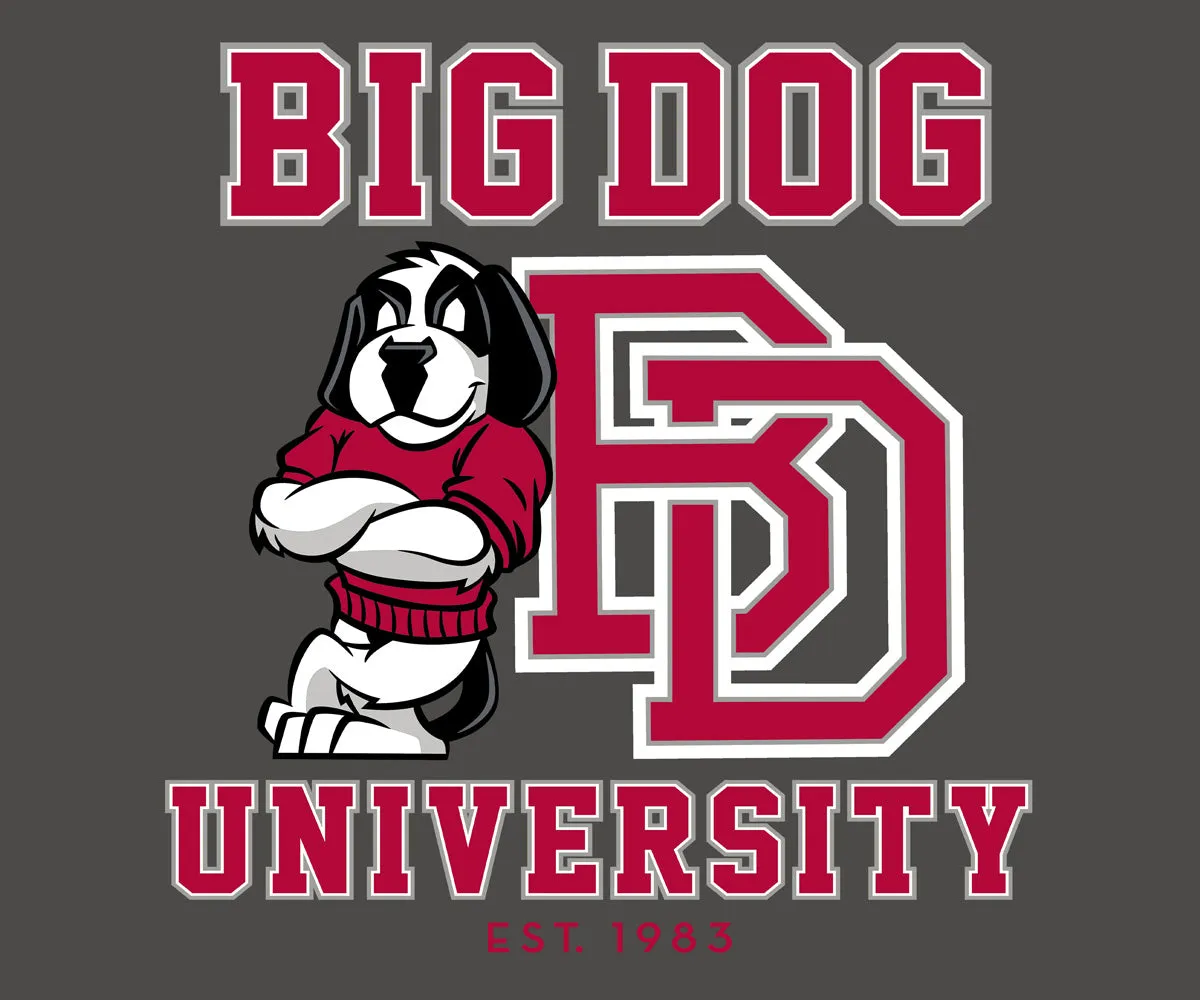 Bd University Red Gray T-shirt