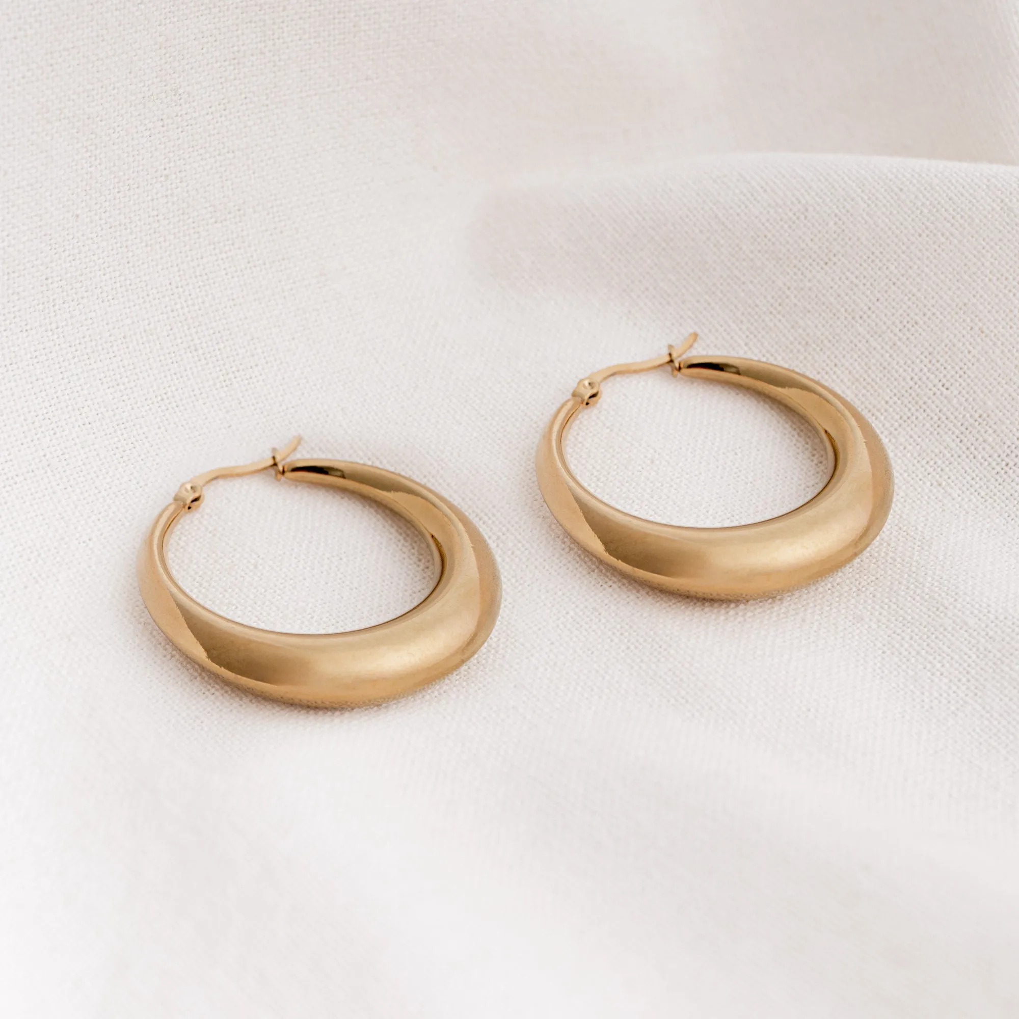 Big Levi Earrings