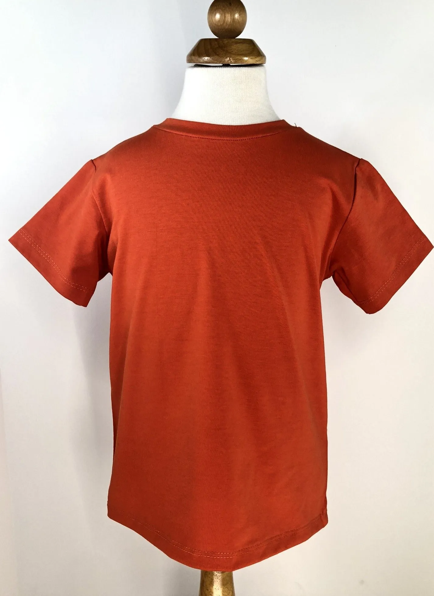 Blank T-shirt