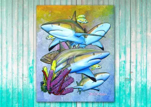 Caribbean Reef Sharks