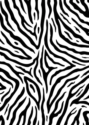 Custom Zebra