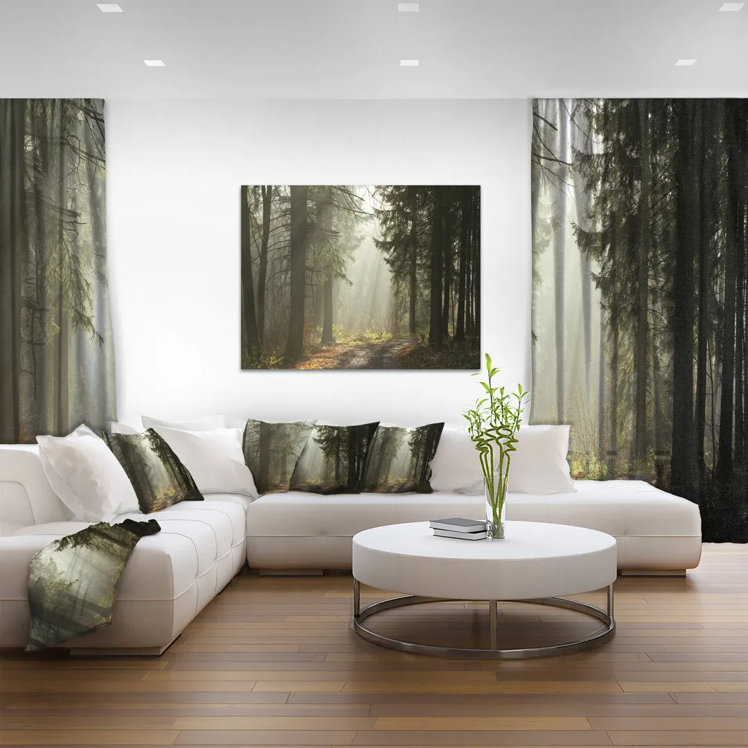 Dark Green Forest with Sun Rays - Photograph Print on Canvas Design Art Size: 30" H x 40" W x 1" D