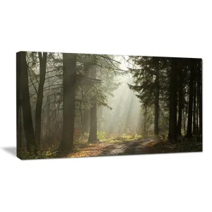 Dark Green Forest with Sun Rays - Photograph Print on Canvas Design Art Size: 30" H x 40" W x 1" D