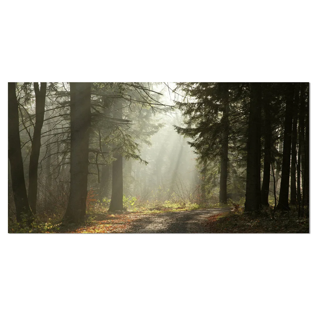 Dark Green Forest with Sun Rays - Photograph Print on Canvas Design Art Size: 30" H x 40" W x 1" D