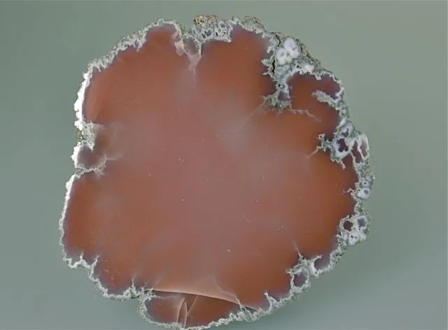 Datolite, Knowlton Lode, Lake Superior Copper District, Ontonogan County, Michigan, Medium Cabinet 2.5 cm x 6.5 cm x 7.0 cm, $175. Online Feb. 28.