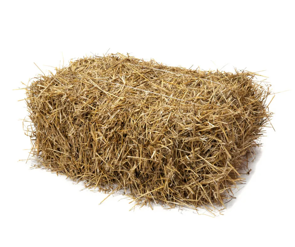 Hay Bales and Corn Stalks