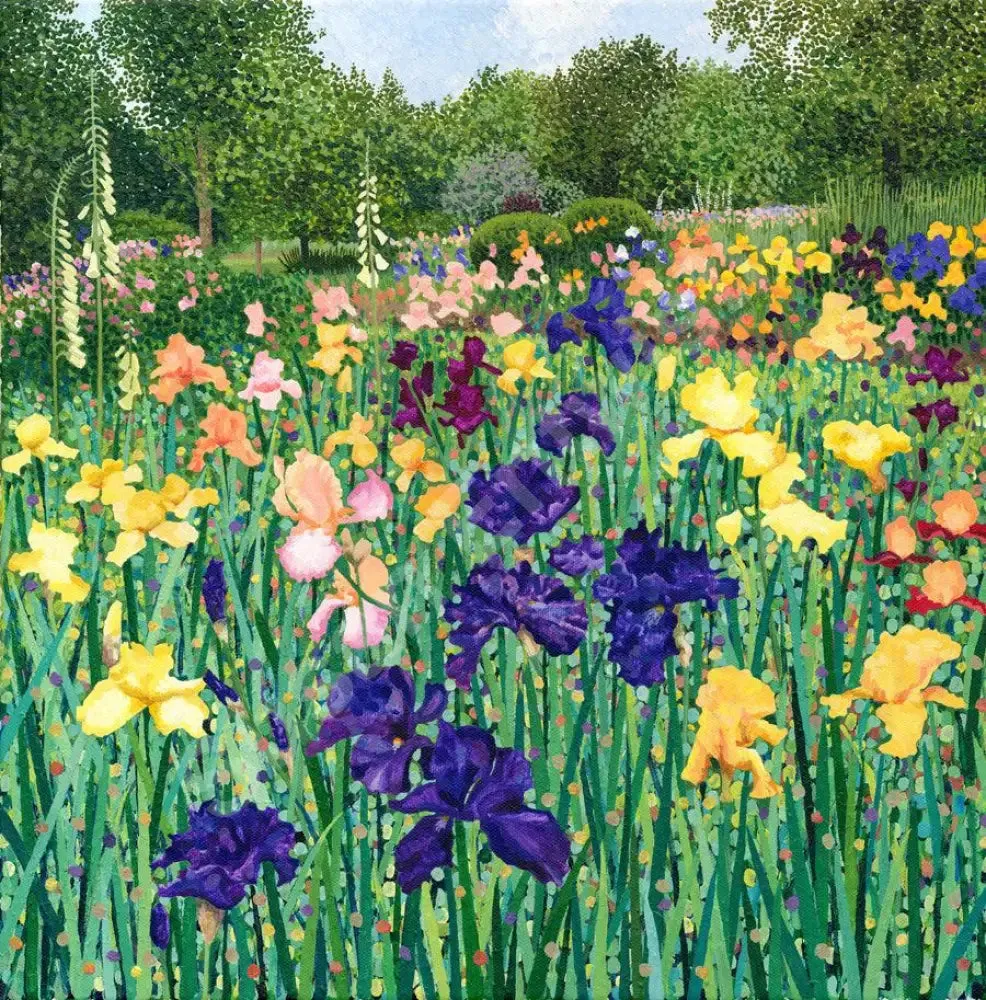 Irises Limited Edition Print