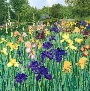 Irises Limited Edition Print