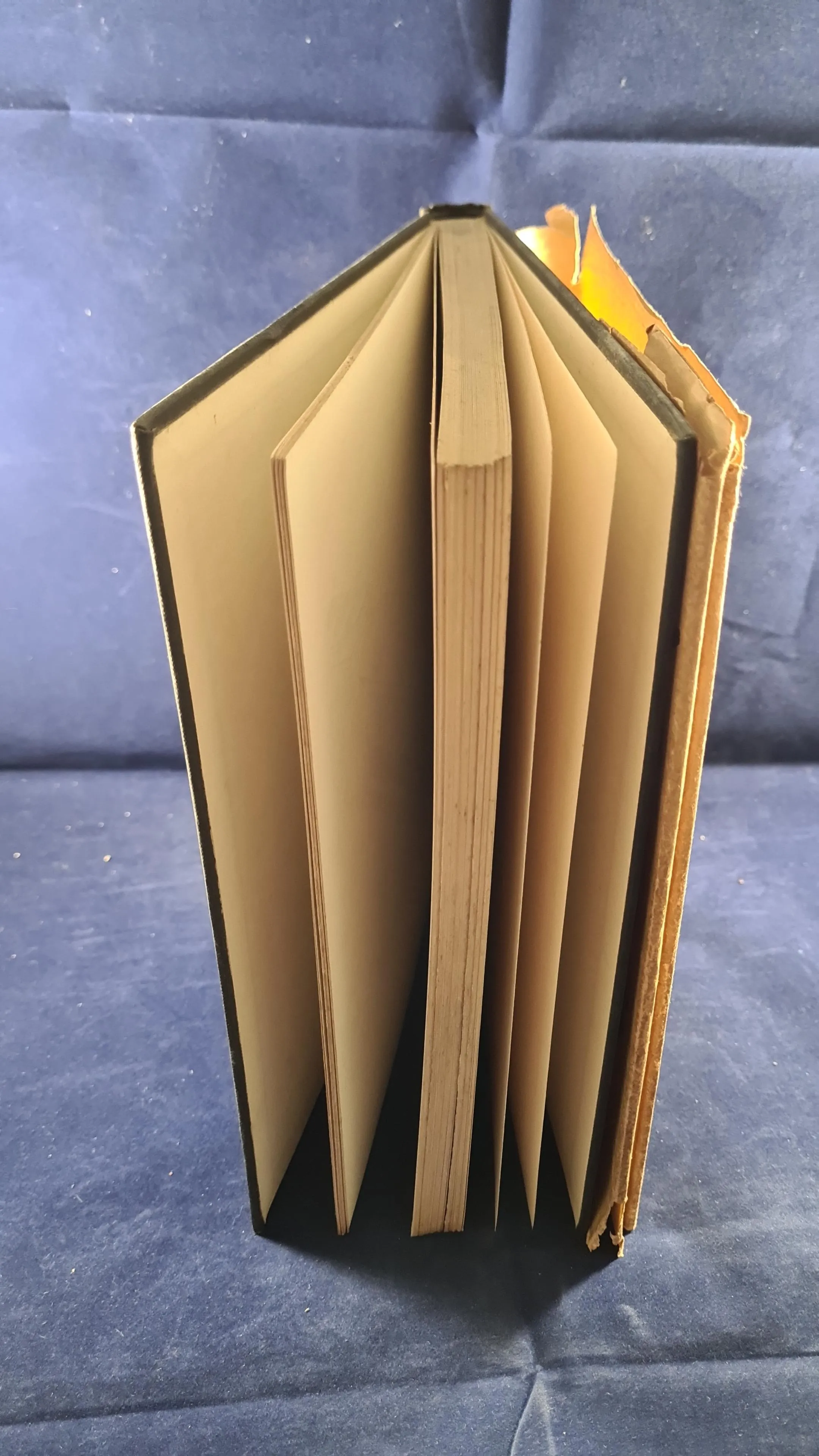 Low's Russian Sketchbook, Victor Gollancz, 1932, First Edition