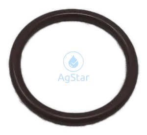 O-RING, VITON   #218 For QN100 Fittings and Joints