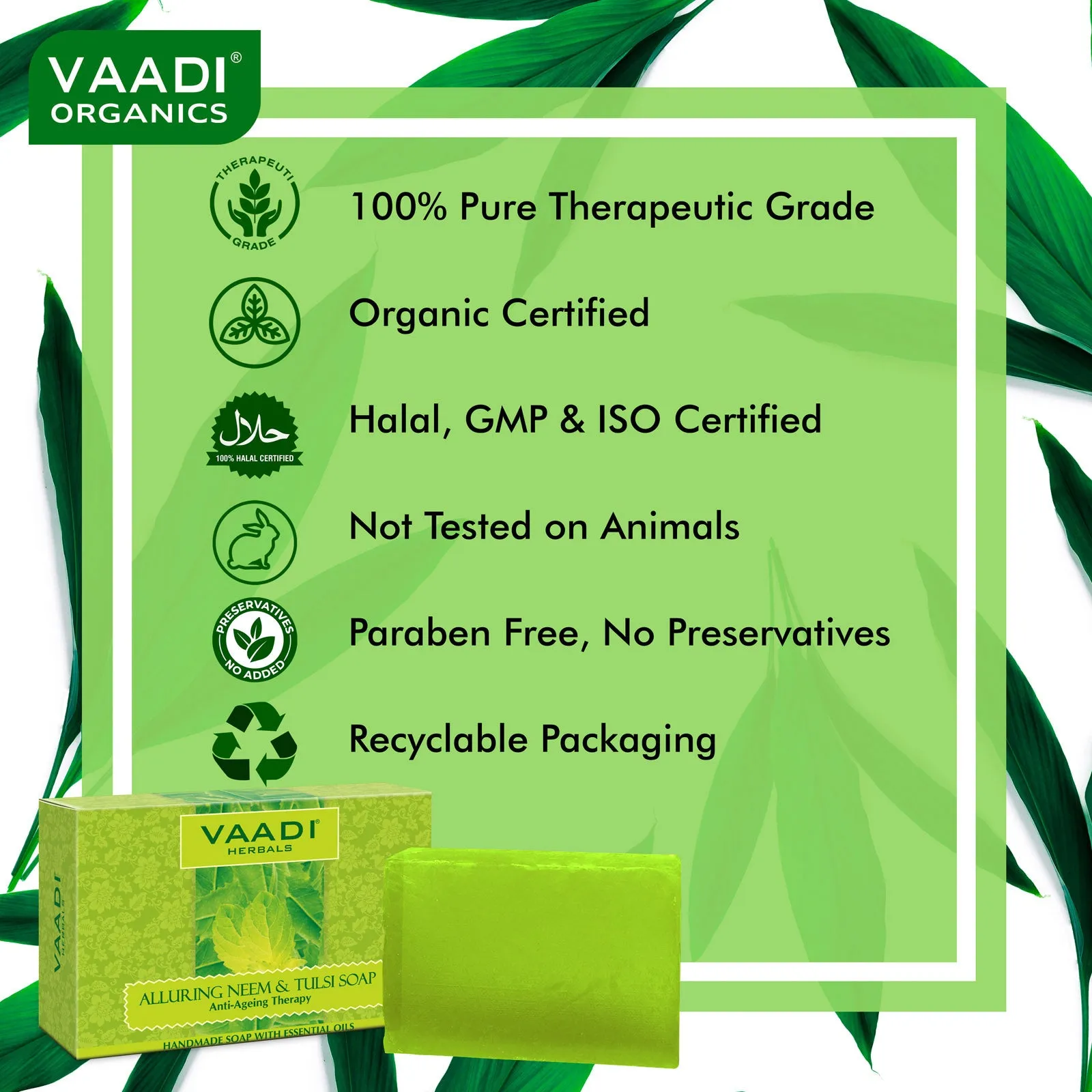 Pack of 12 Alluring Neem-Tulsi Soap with Vitamin E & Tea Tree Oil (75 gms x 12)
