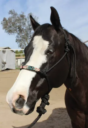 PC Beaded Rope Halter