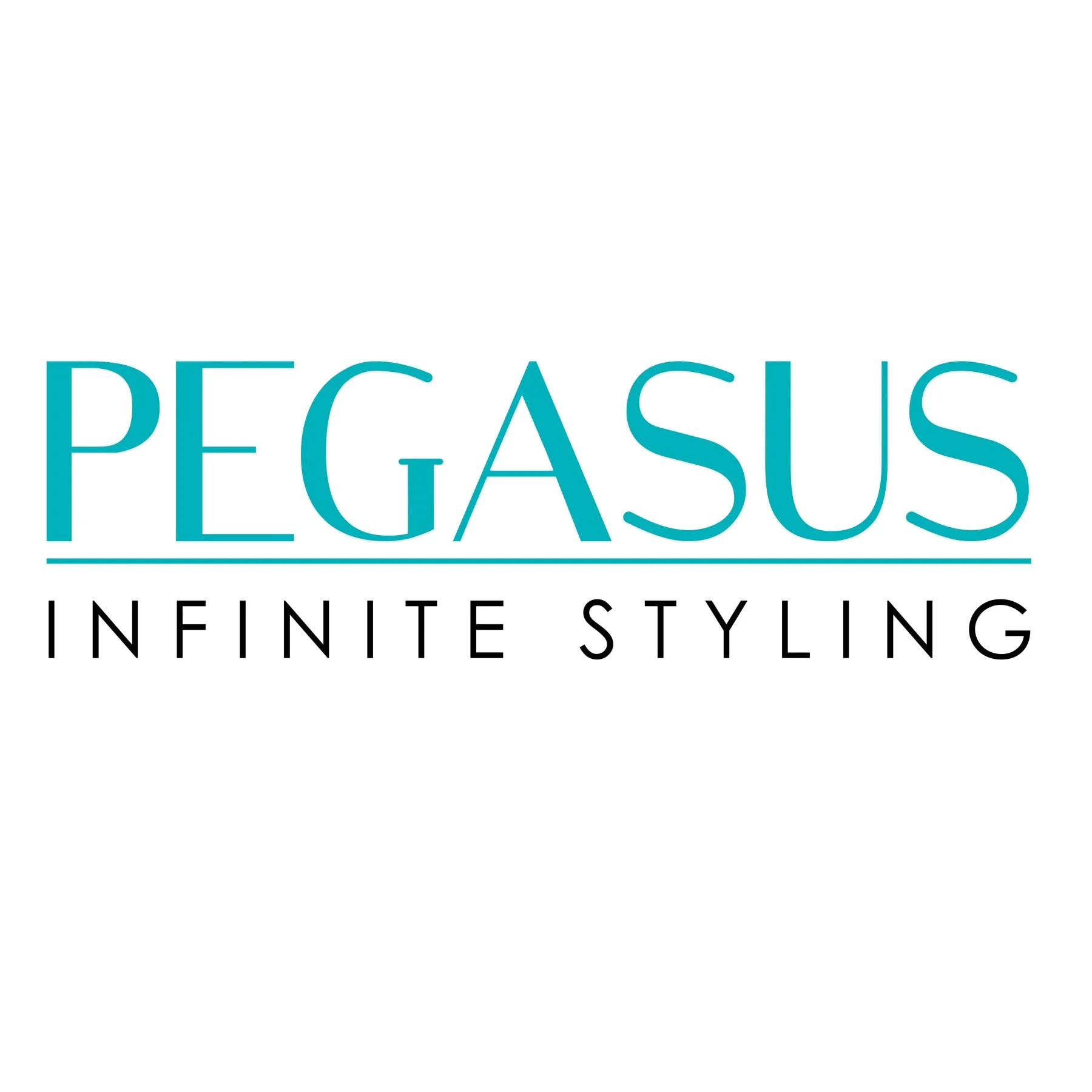 Pegasus Skulleto 514A, 8.75in Hard Rubber Fine Tooth Flattop Butch Comb, Handmade, Seamless, Smooth Edges, Anti Static, Heat and Chemically Resistant Comb | Peines de goma dura - Silver