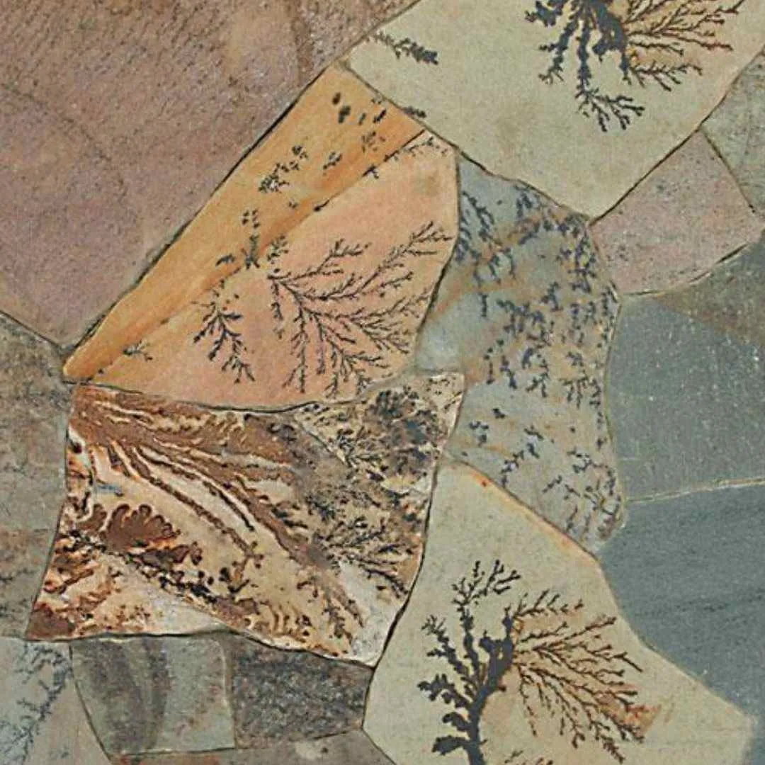 RIO PAMPA Split-Face Random Edge Paver Flagstone