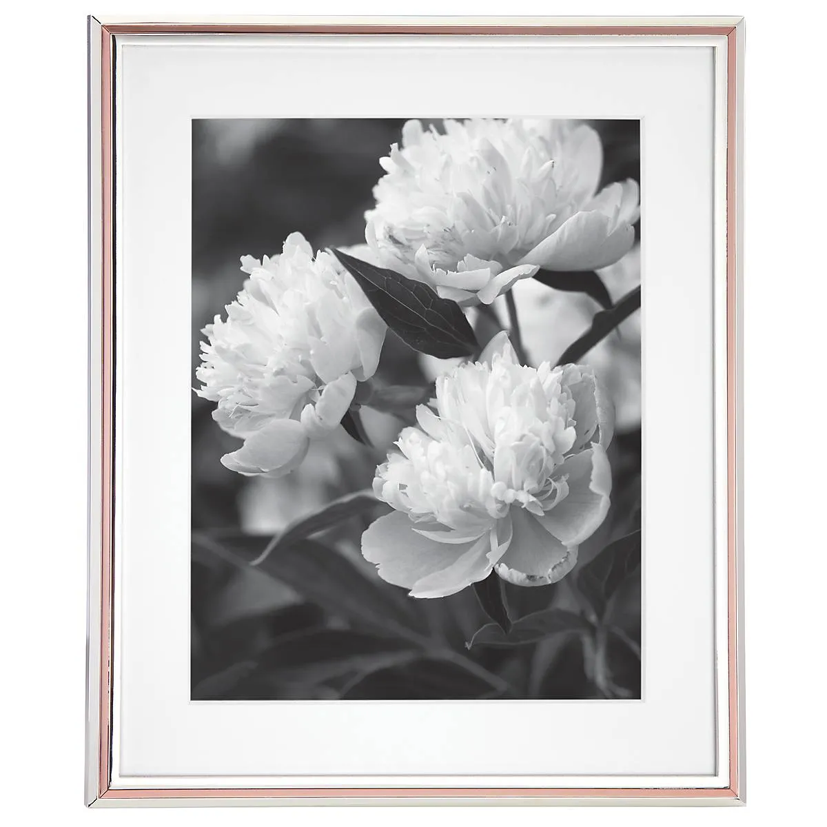 Rosy Glow 8" x 10" Frame