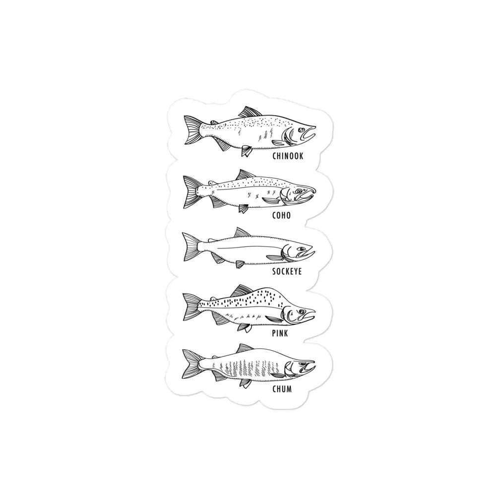 Salmon Series Sticker