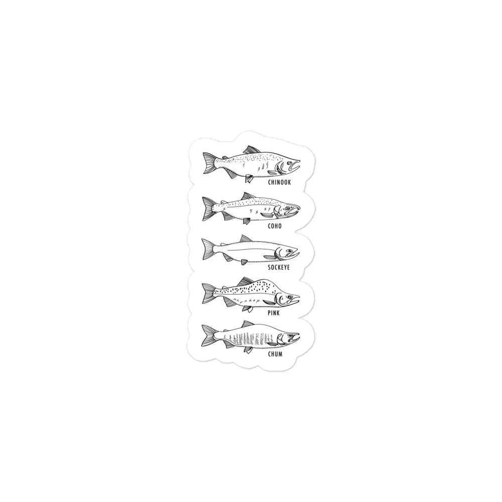Salmon Series Sticker