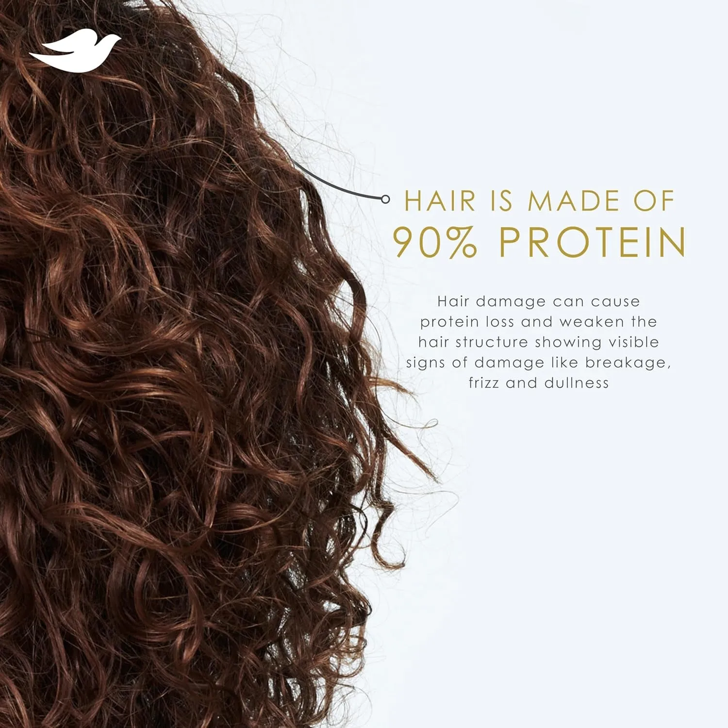 Shampoo Coconut & Hydration for Dry Hair with Bio-Protein Care Technology and Coconut Oil 28 Fl Oz