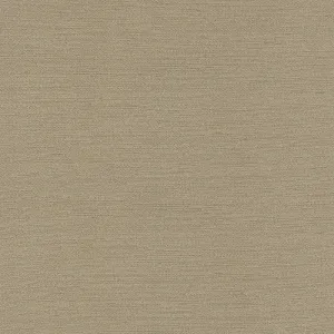 Slinky-Stonework