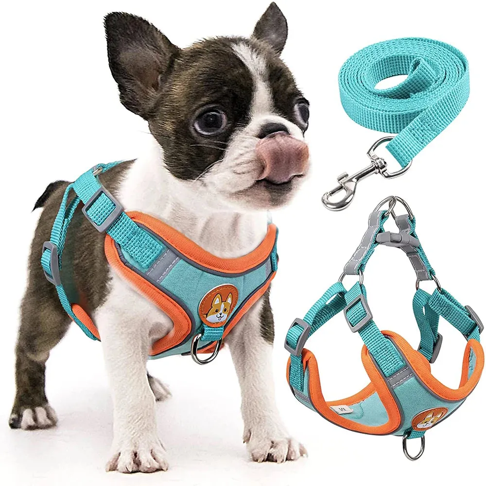 Step-In Reflective Durable Dog Harness Set