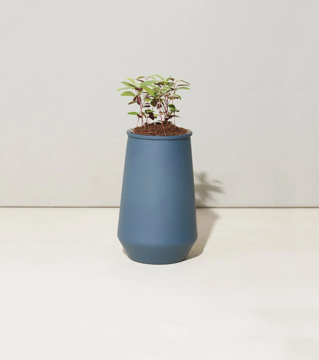 Tapered Tumbler Grow Kits