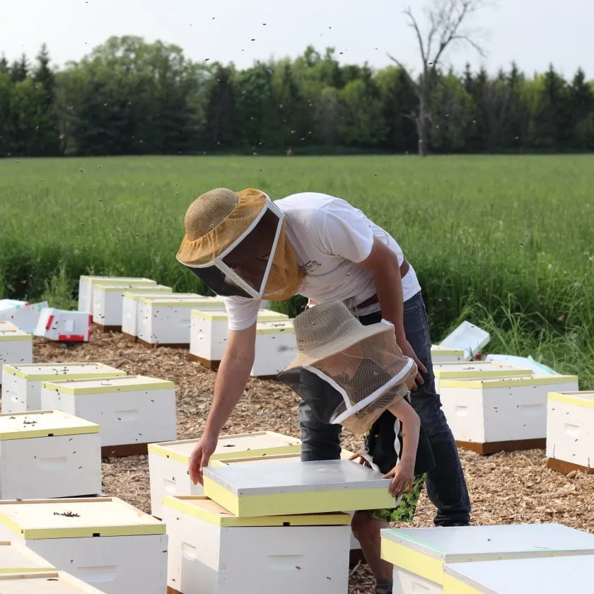 The Bee Encounter Experience