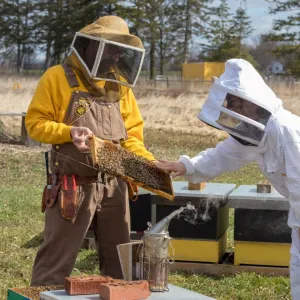 The Bee Encounter Experience
