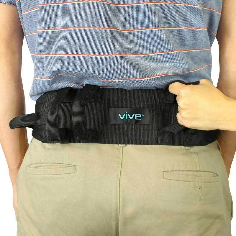 Transfer Belt