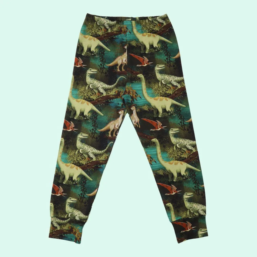 Walkiddy Dinosaur Pyjama Set