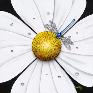 White Flower - Dragonfly