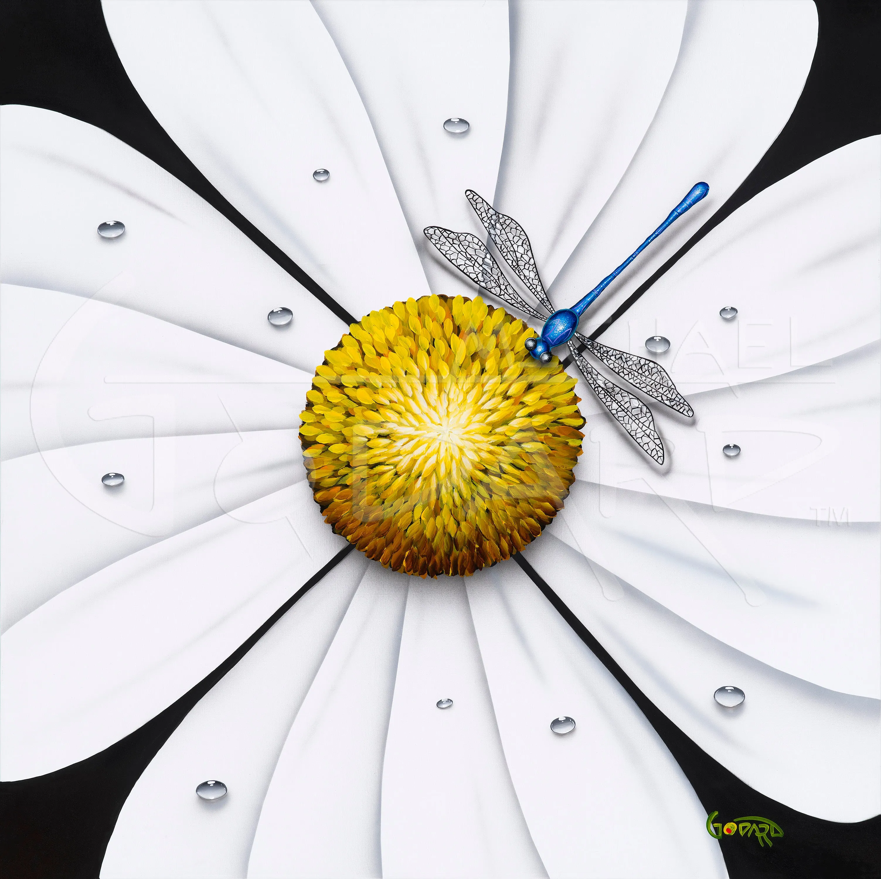 White Flower - Dragonfly
