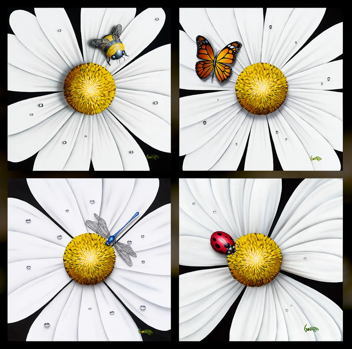 White Flower - Dragonfly