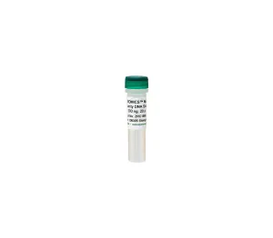 ZymoBIOMICS Microbial Community DNA Standard